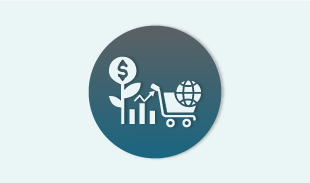 Demand Planner Cum Merchandiser